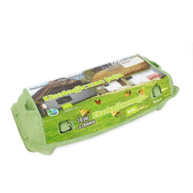 Jaja BIO (10 szt.) - SZERSZEŃ