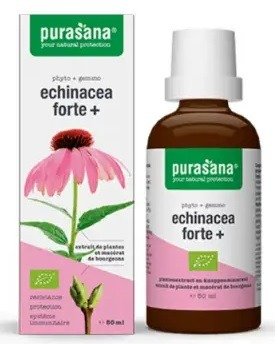 Jeżówka purpurowa (echinacea forte) krople BIO 50 ml - PURASANA