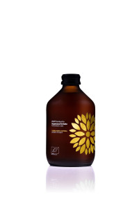 Kombucha z yerba mate bezglutenowa BIO 330 ml - VIGO