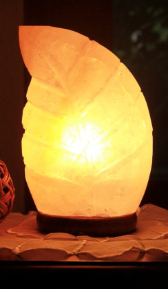 Lampa solna w kształcie liścia 3 kg - HIMALAYAN SALT