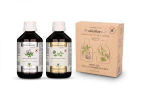 Probiotyczny ekstrakt ziołowy probioborelio bezglutenowy BIO (2 x 300 ml) 600 ml - JOY DAY (ZIOŁA JĘDRZEJA)