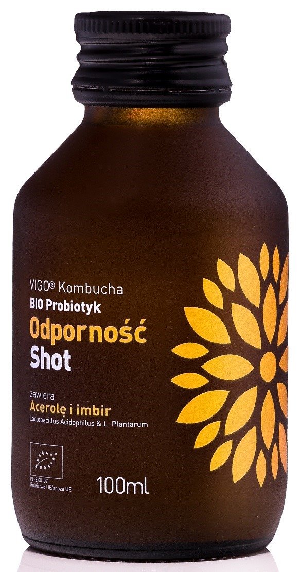 Shot&#x20;kombucha&#x20;probiotyk&#x20;odporno&#x015B;&#x0107;&#x20;bezglutenowy&#x20;BIO&#x20;100&#x20;ml&#x20;-&#x20;VIGO