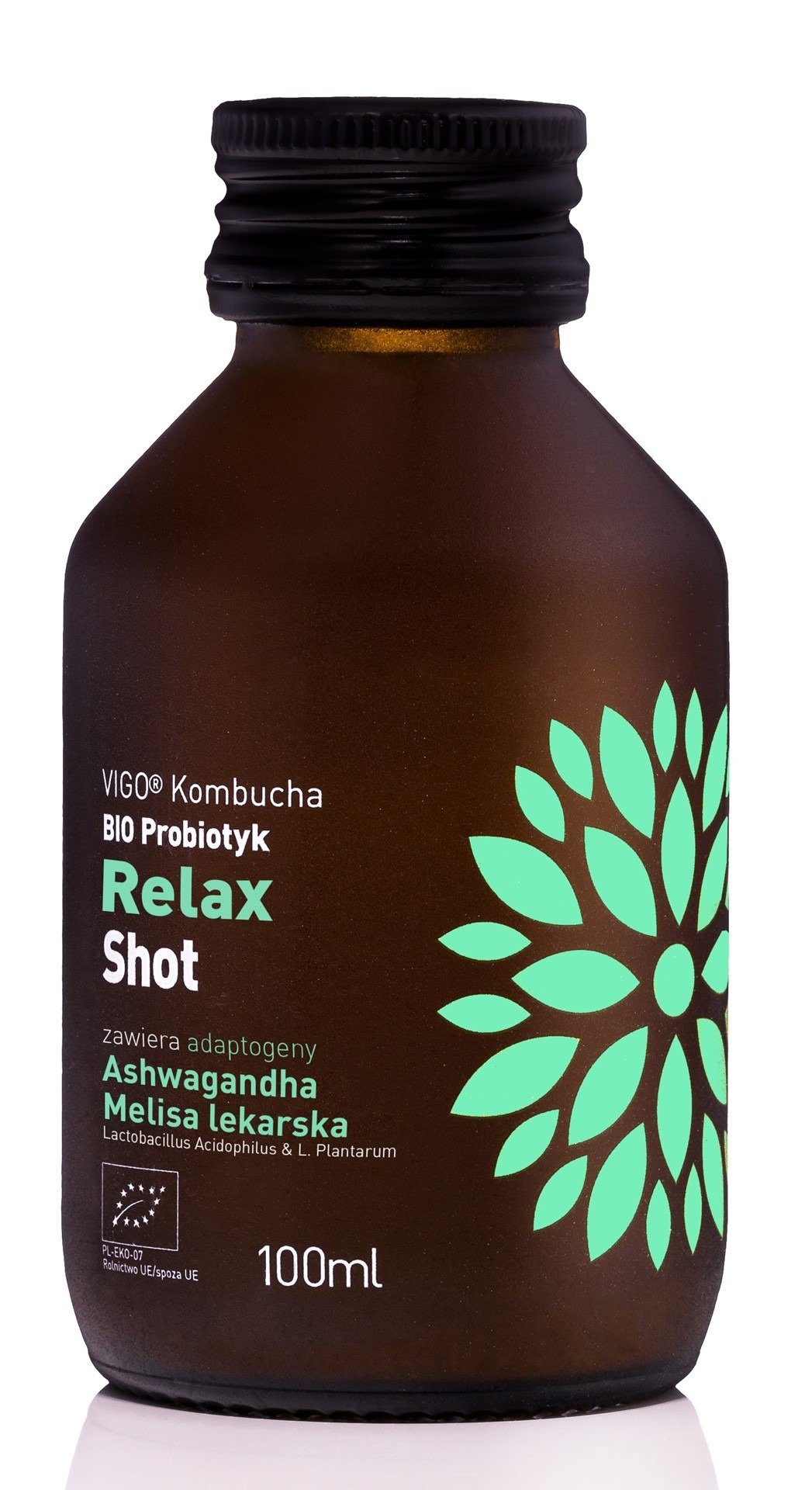 Shot&#x20;kombucha&#x20;probiotyk&#x20;relax&#x20;bezglutenowy&#x20;BIO&#x20;100&#x20;ml&#x20;-&#x20;VIGO