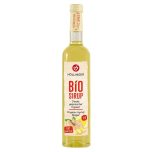 Syrop imbirowo - cytrynowy BIO 500 ml - HOLLINGER