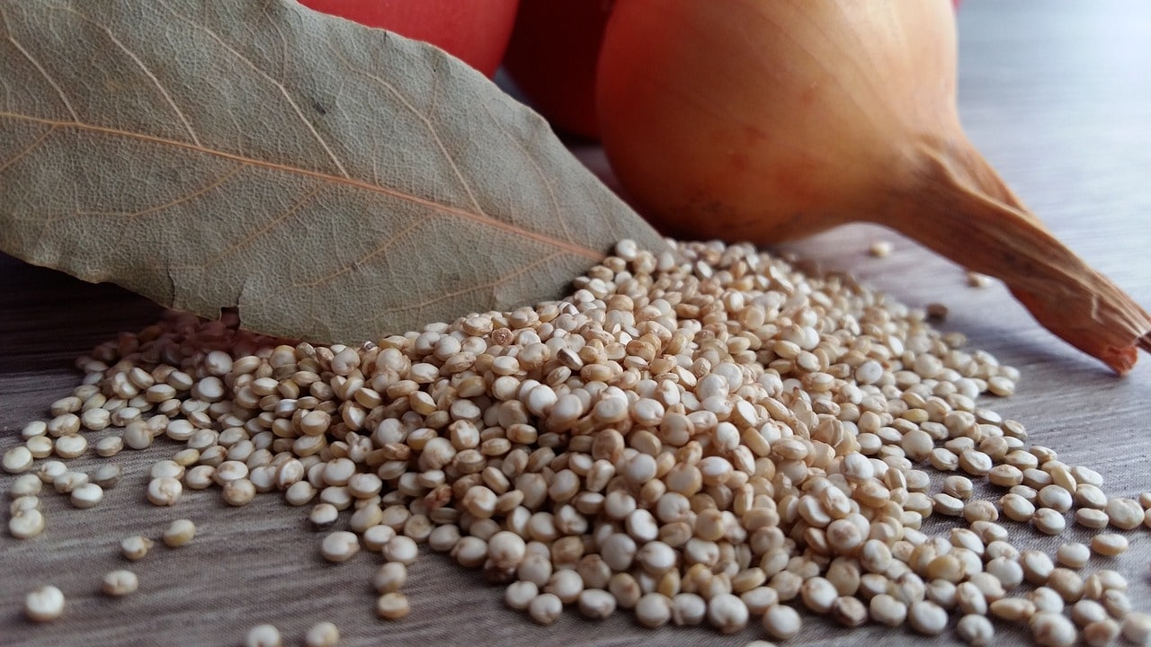 Komosa ryżowa - quinoa do jakich dań będzie dobra?