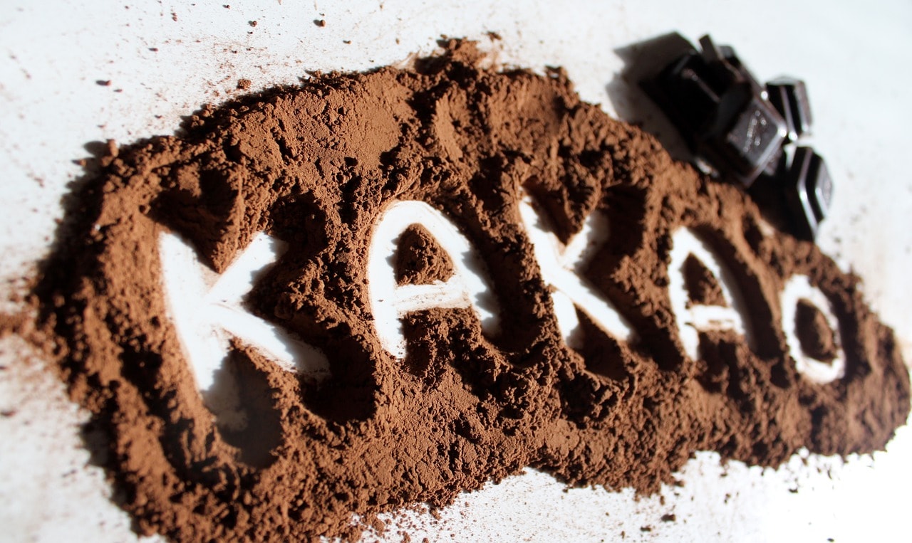 Skąd pochodzi kakao? Jak wpływa na organizm? - Wszystko co musisz wiedzieć o kakao